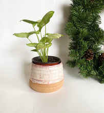 Load image into Gallery viewer, Sugar Plum 4" Planter w/ Drainage 30
