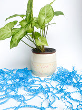 Load image into Gallery viewer, Preorder: 5" Confetti Planter with drainage holes