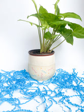 Load image into Gallery viewer, Preorder: 5" Confetti Planter with drainage holes