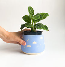 Load image into Gallery viewer, Preorder: 5" Cloud Planter with drainage holes