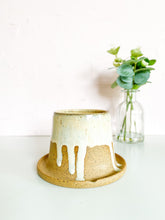 Load image into Gallery viewer, Cinnamon Roll Planter “3.75 x 4” (7)