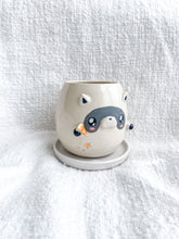 Load image into Gallery viewer, Remi the Raccoon Planter