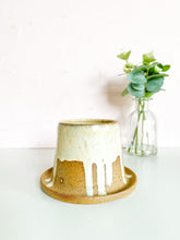 Load image into Gallery viewer, Cinnamon Roll Planter “3.75 x 4” (7)