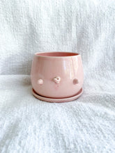 Load image into Gallery viewer, Preorder: Francis the Flying Piggy Planter