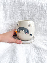 Load image into Gallery viewer, Remi the Raccoon Planter