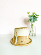 Load image into Gallery viewer, Cinnamon Roll Planter “3.75 x 4” (7)