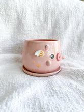 Load image into Gallery viewer, Preorder: Francis the Flying Piggy Planter