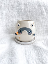 Load image into Gallery viewer, Remi the Raccoon Planter