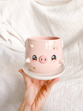 Load image into Gallery viewer, Frankie the Flying Piggy Planter
