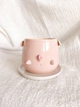 Load image into Gallery viewer, Frankie the Flying Piggy Planter
