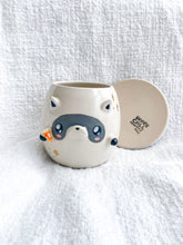 Load image into Gallery viewer, Remi the Raccoon Planter
