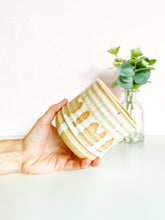 Load image into Gallery viewer, Sherbet Sunset Planter 3.75” x 3.75” (14)
